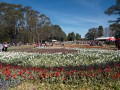 0929-1554 Floriade (1040956)